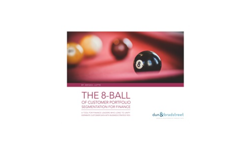 De 8-ball van de segmentatie van de klantportfolio voor financiën